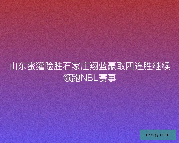 山东蜜獾险胜石家庄翔蓝豪取四连胜继续领跑NBL赛事